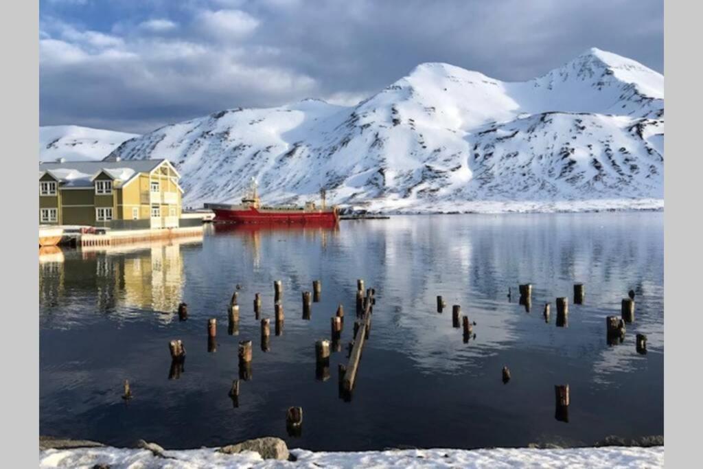 House With A Warm Soul In North Iceland Siglufjordur Exteriér fotografie